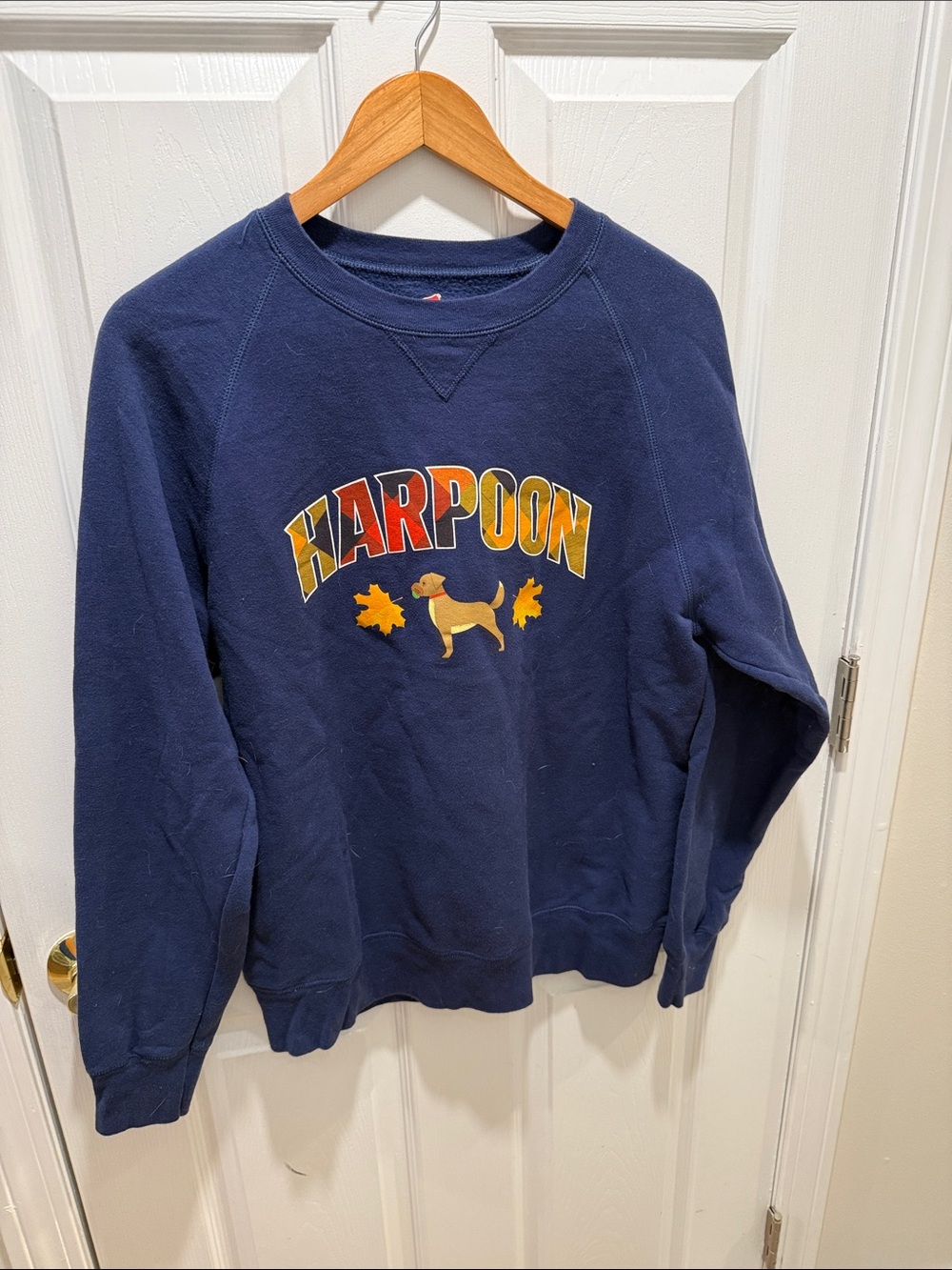 Hanes Navy Sweatshirt with 'Harpoon' Fall Dog Graphic